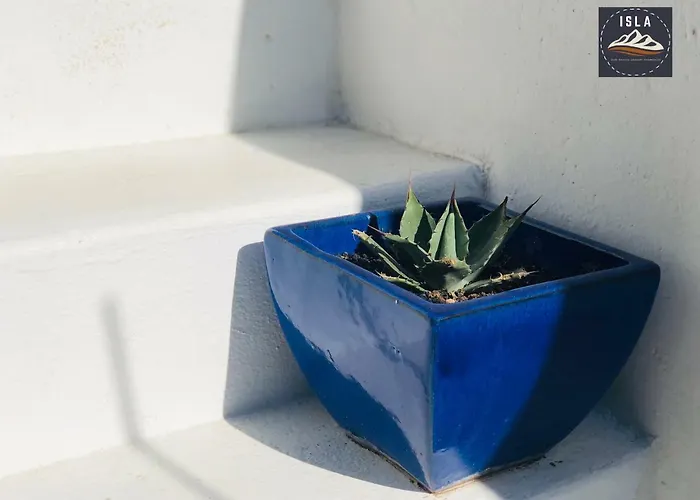 Sueno Marinero Apartament